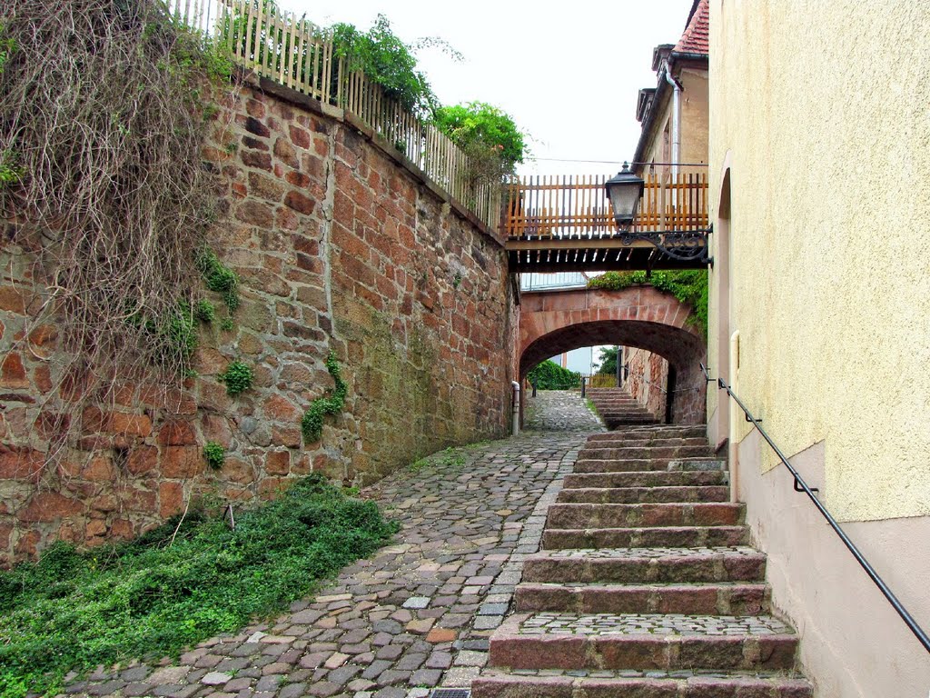 Rochlitz - Hohe Gasse by Rudolf Henkel