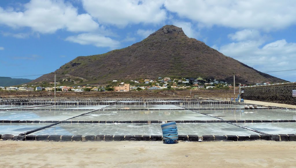 Salt pans with Tourelle du Tamarin in Background, Tamarin, Mauritius by Dave Lauberts