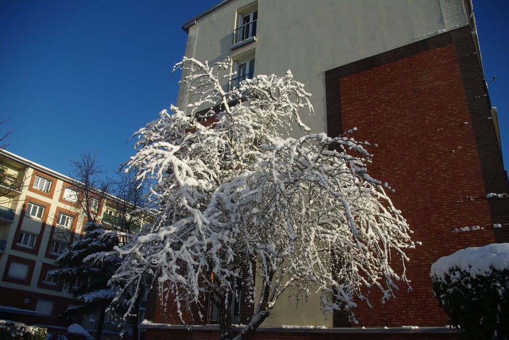 Après la tempête. by ☮Ronan 60 countries☮