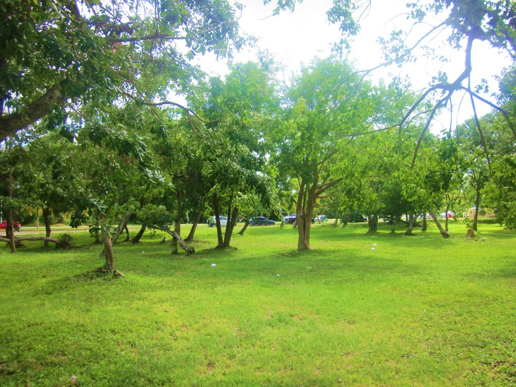 Campos sobre el Boulevard Bahía, Chetumal. by holachetumal