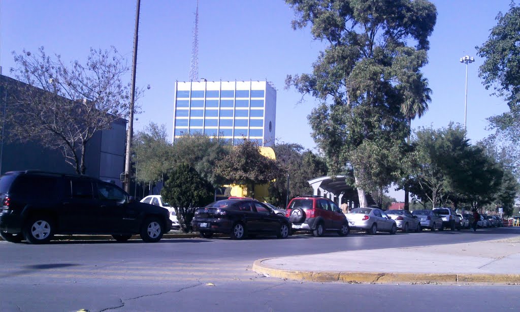 Ciudad Universitaria UANL by ~☂JENNY☂~