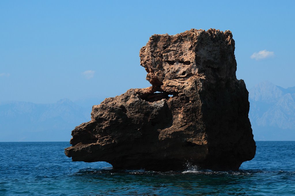 Sea Stone by dmitry savochkin