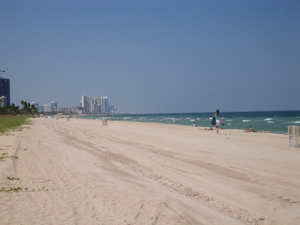 Miami Beach by lukeclot