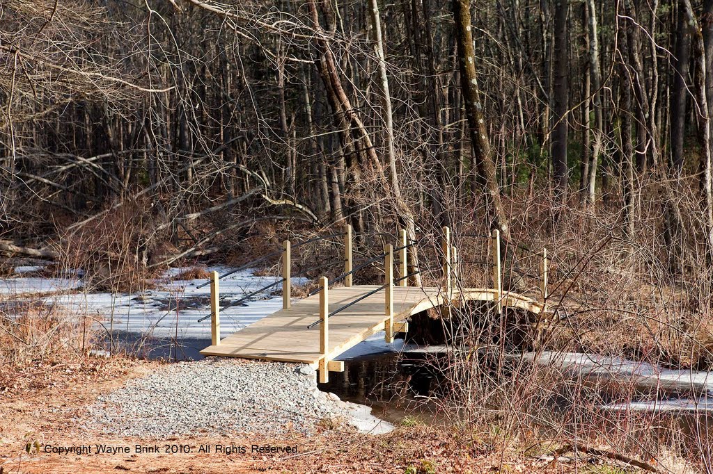 Mason Park Bridge by waynebrink