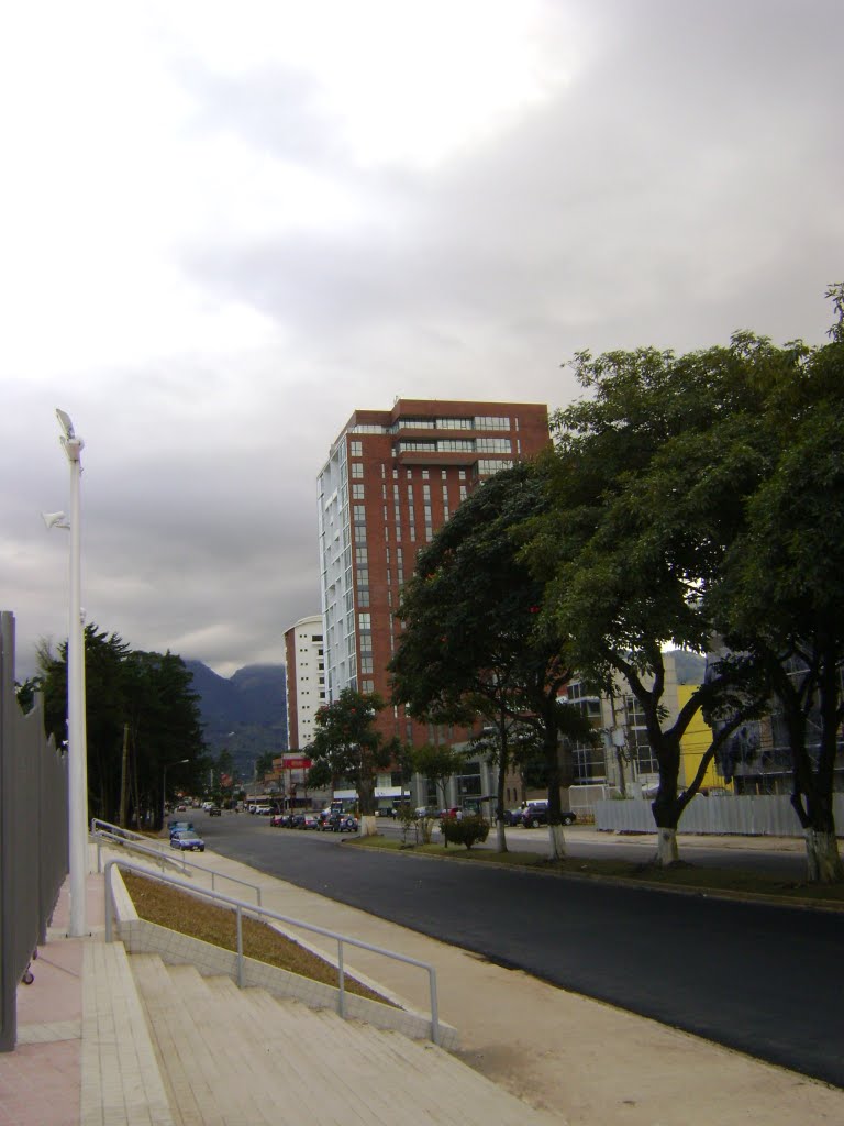 VIA OESTE DE LA SABANA by LUIS PALMA