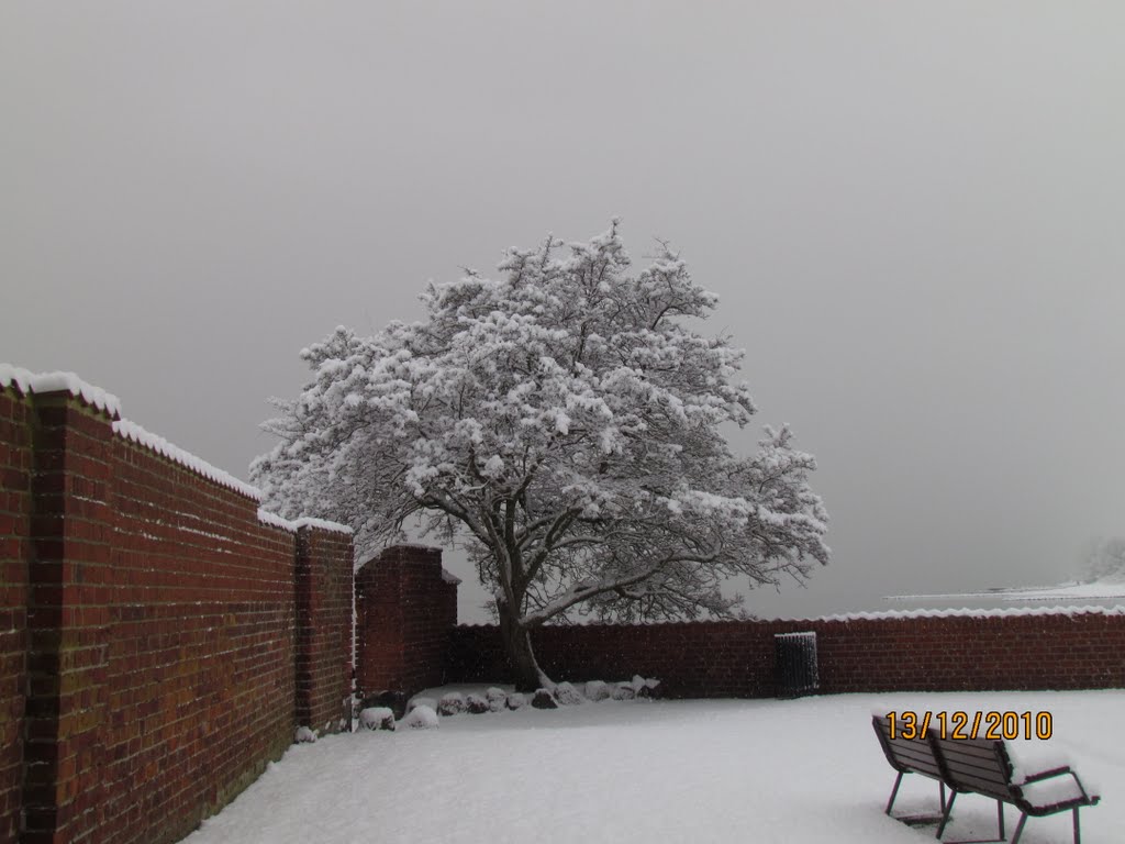 Sønderborg slotspark by John Vede