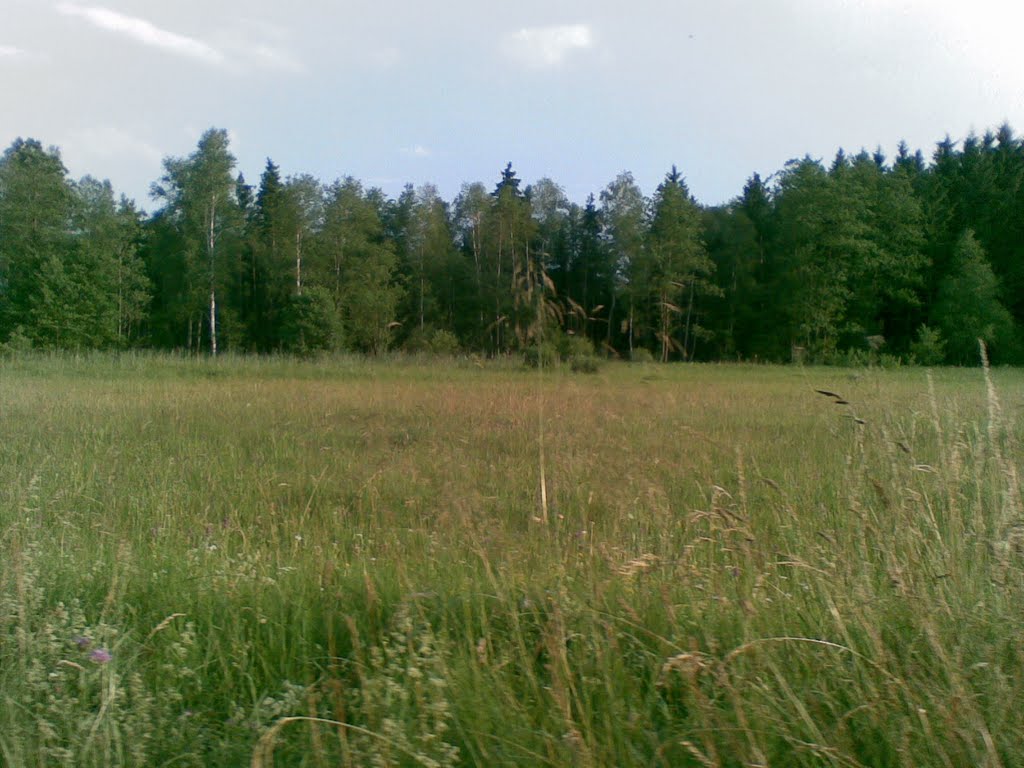 Moorlandschaft Ludenhausen-Abtsried by Gth1947