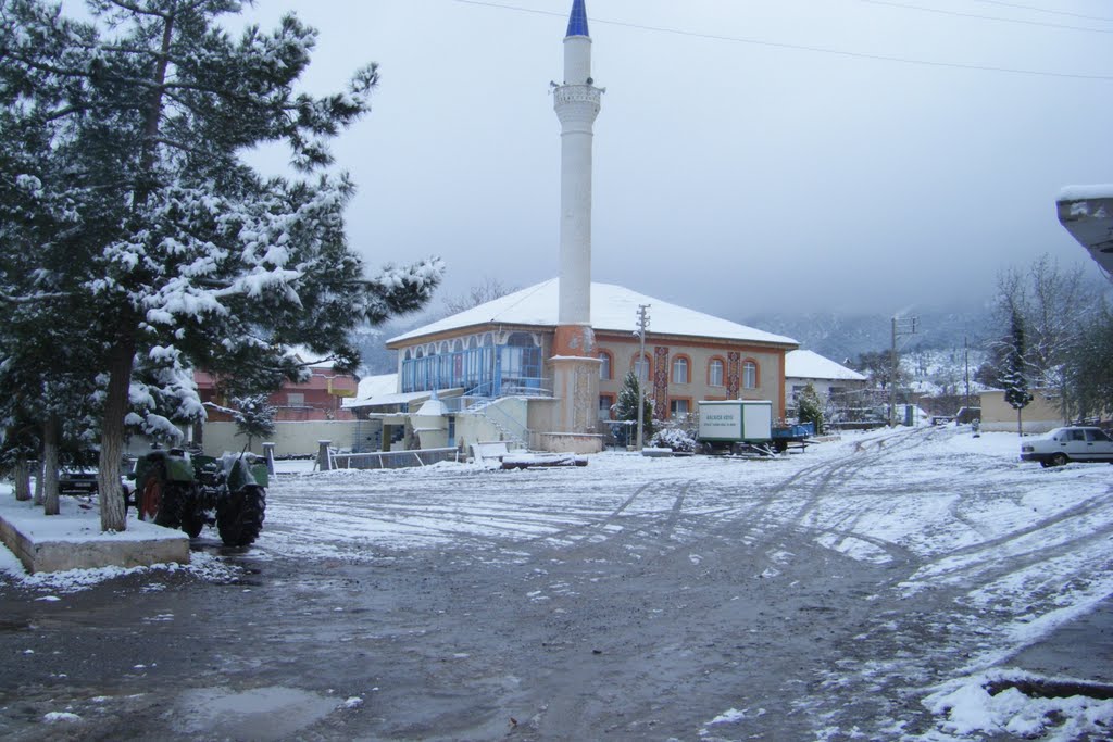 20500 Balkıca/Tavas/Denizli, Turkey by salih ktrcğl