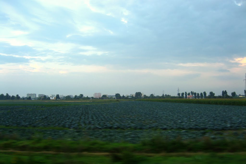 Gmina Ożarów Mazowiecki, Poland by Fotoszop