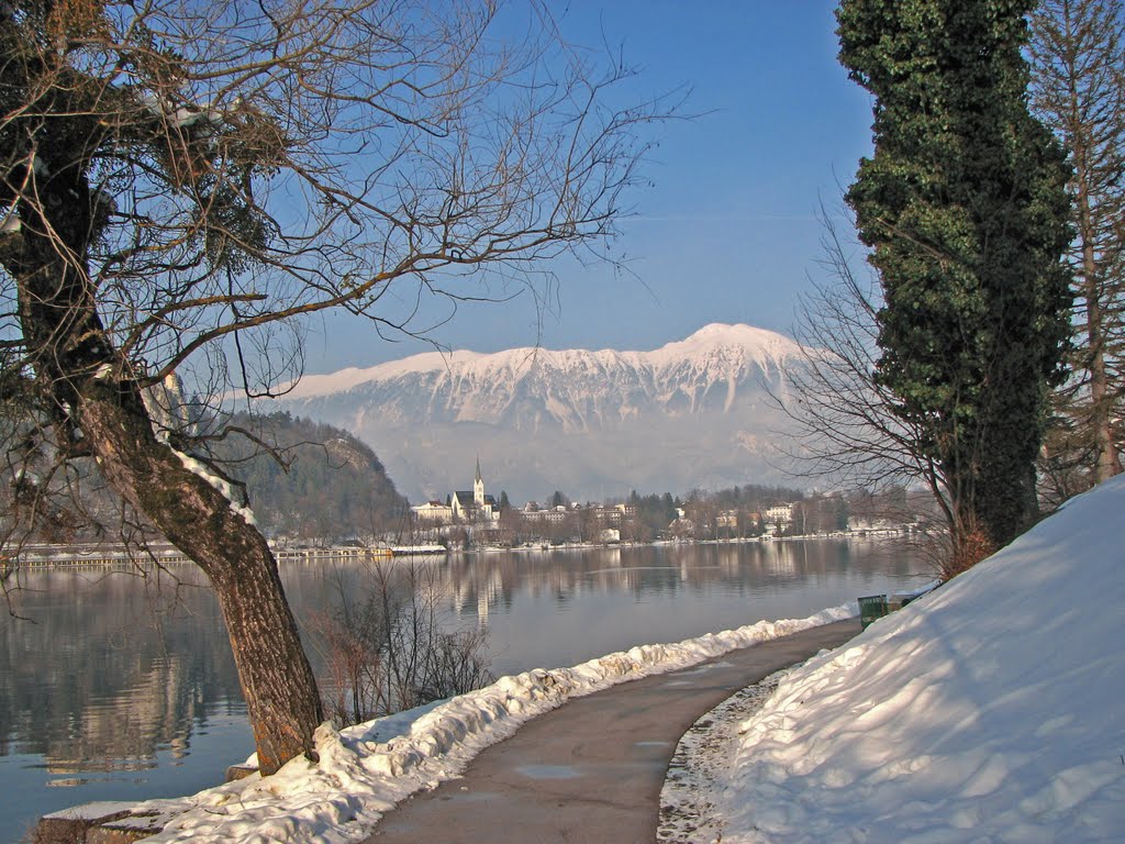 Stol above Bled lake by volnat