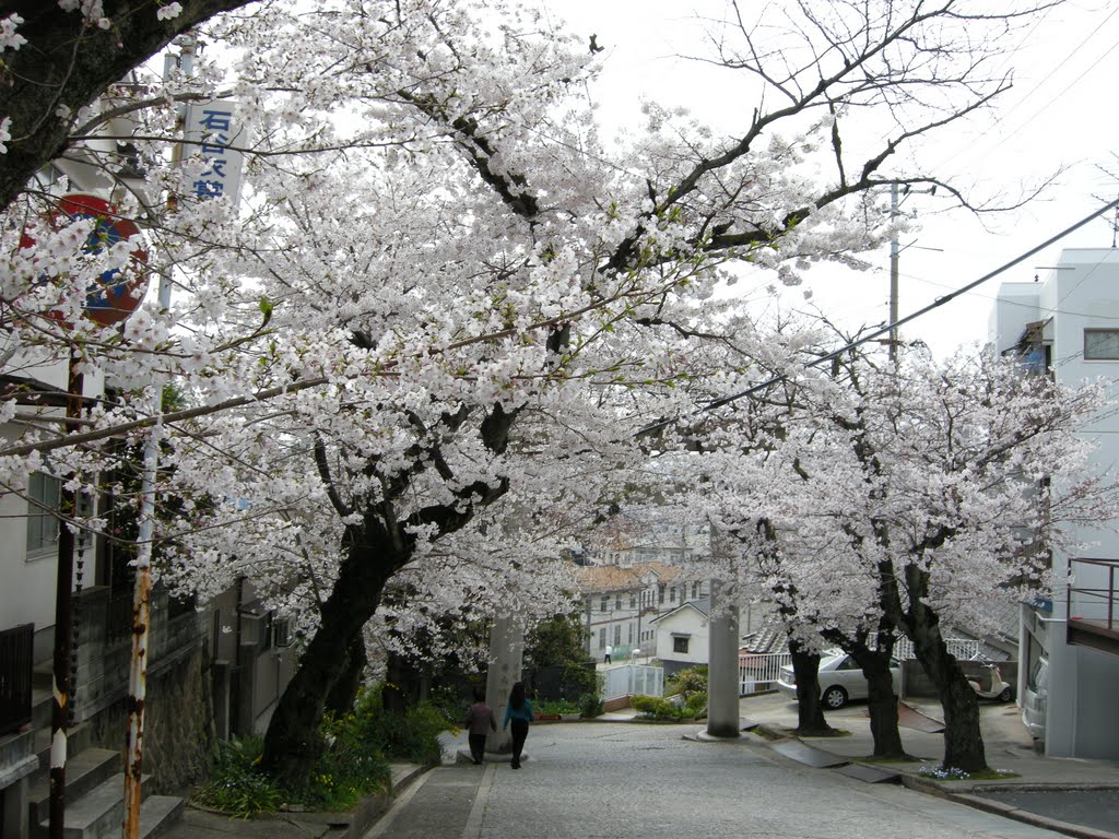 亀山神社の桜 by nakashingai