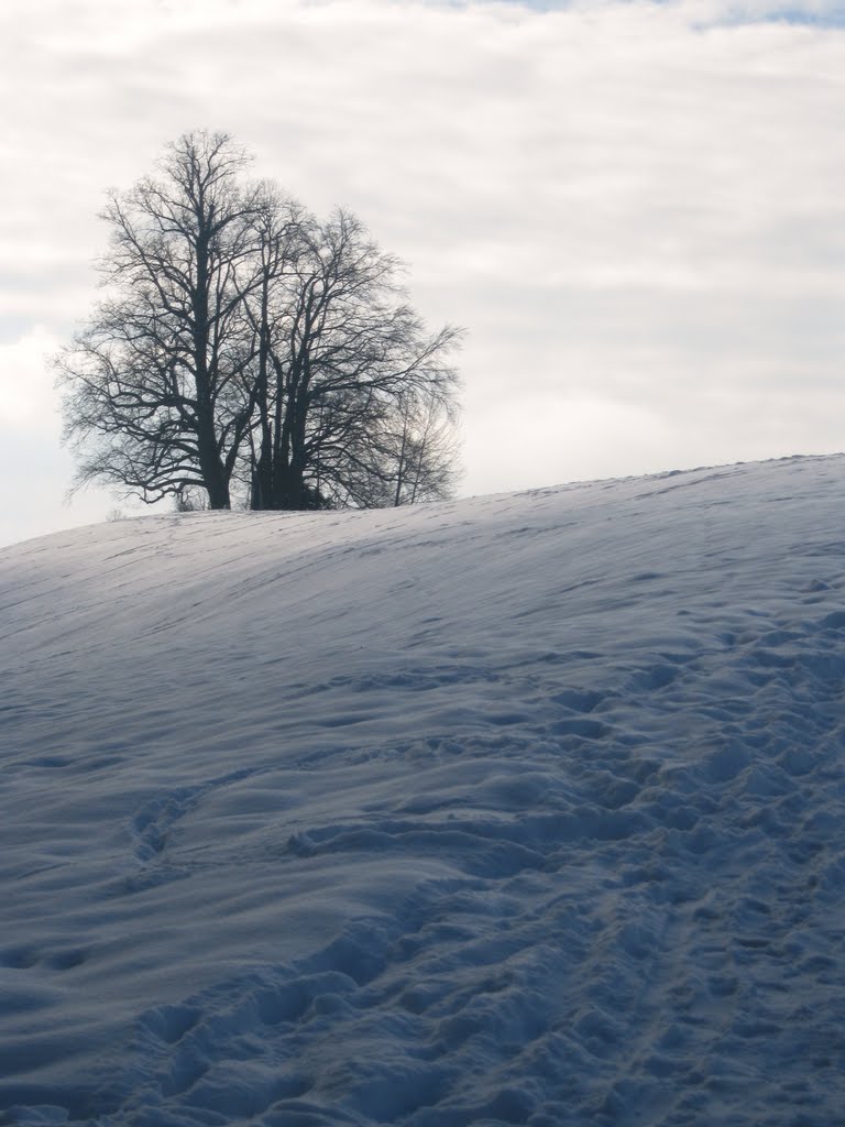 Johannishügel im Winter by Christoph Rohde