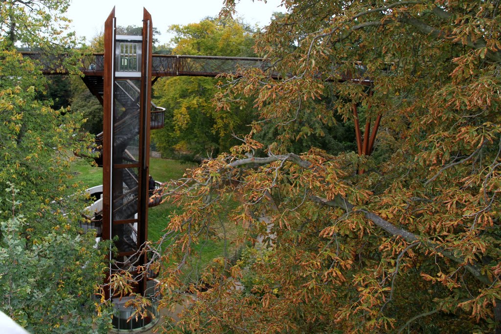 High Walkway at Kew Gardens by AbbieK