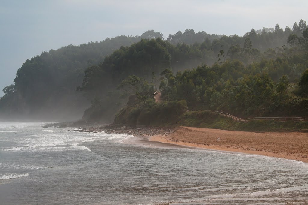 PLAYA DE LA GRIEGA by ENIBE