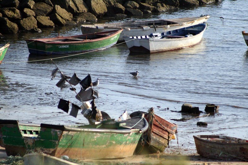 Barcas de pesca, en Mazagón by cándi2