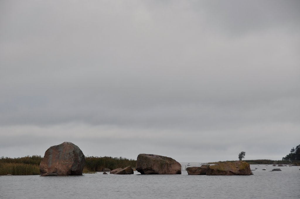 Rocks in the water by Icepick