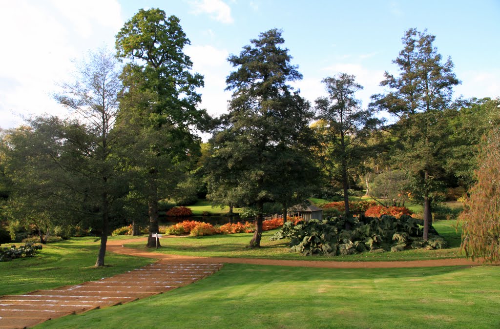 Gritted steps at Savill Gardens by AbbieK