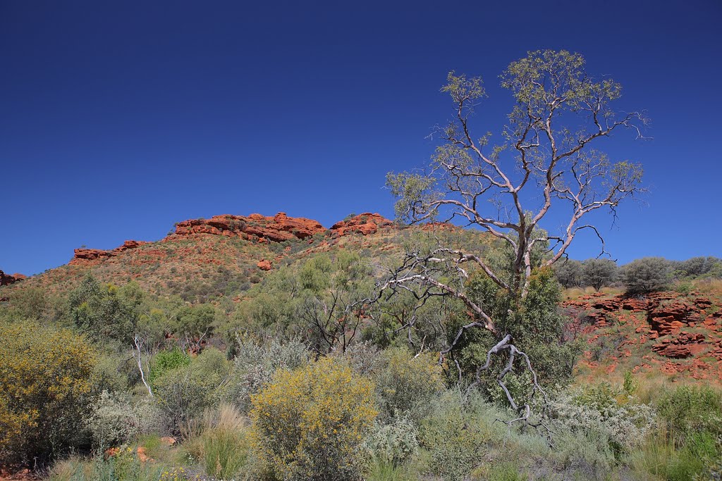 Kings Canyon, Watarrka National Park by hubert.zumbach