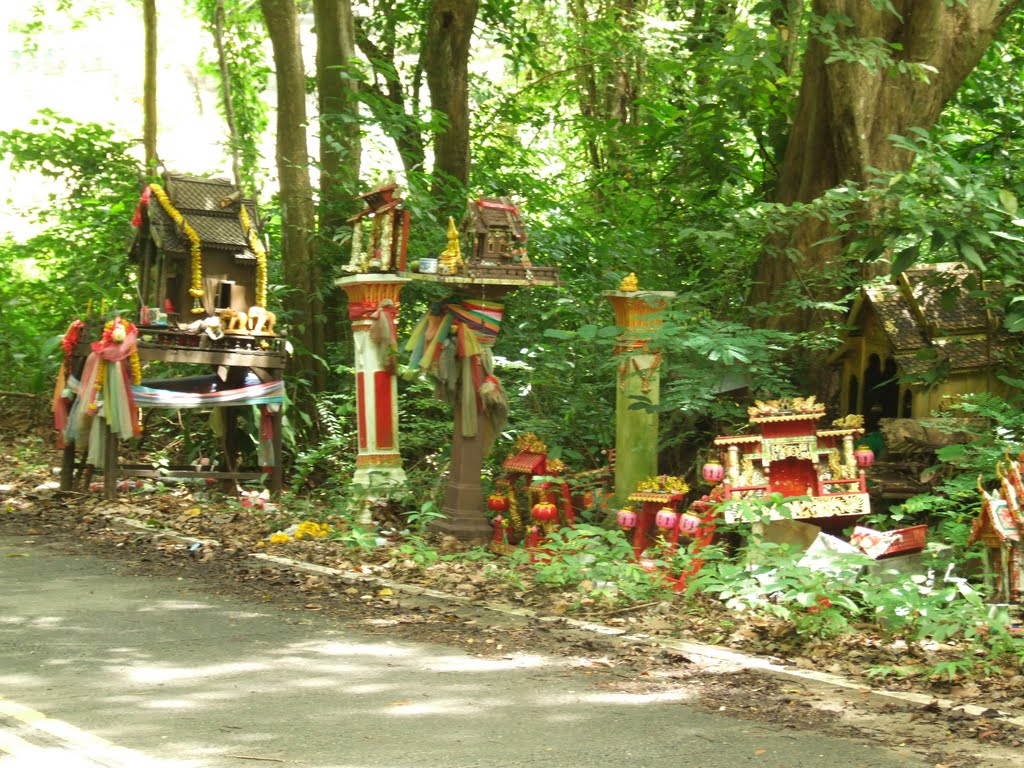 Spirit houses beside the road by Ron Leunissen