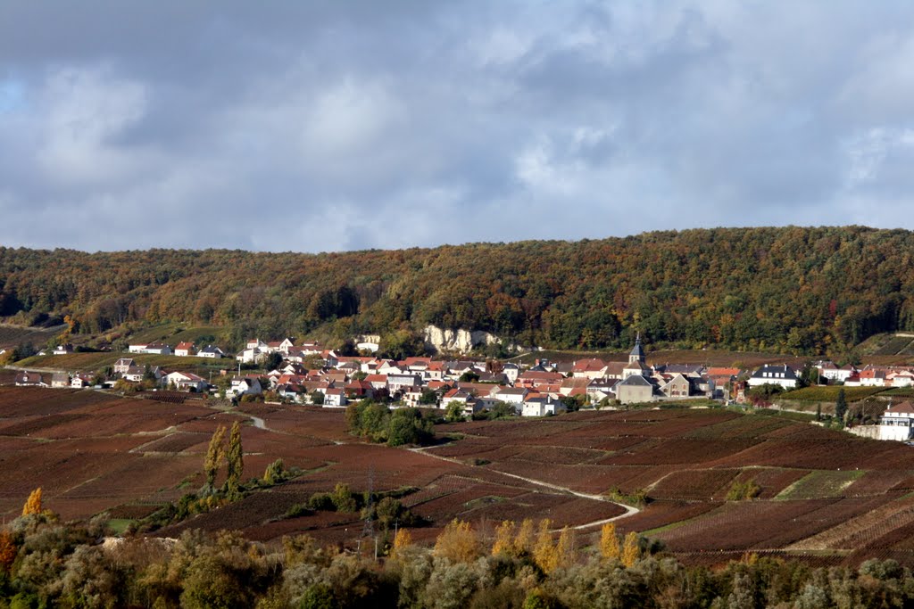 Venteuil, Vue Gnénérale. by Gilles.Villanfin