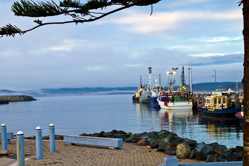 Early morning on Eden Wharf after C2K start by Steve Bennett