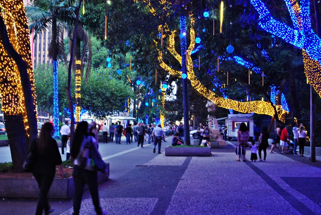 Natal Parque Trianon - Av. Paulista - São Paulo - Brasil by Rita Barreto