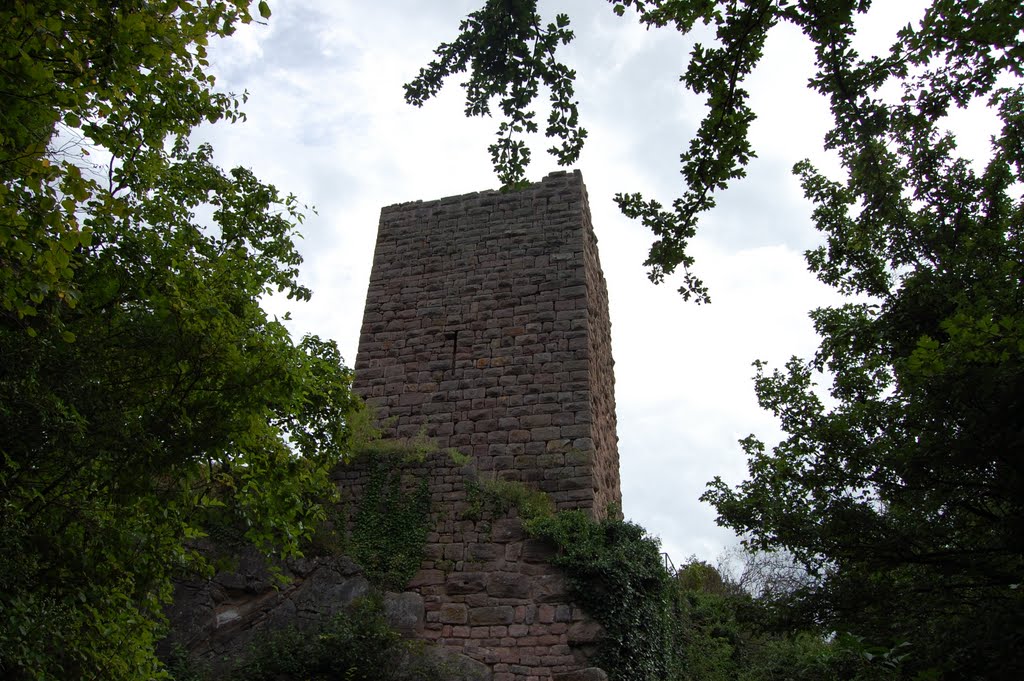 La torre del castello by Orso Stanco