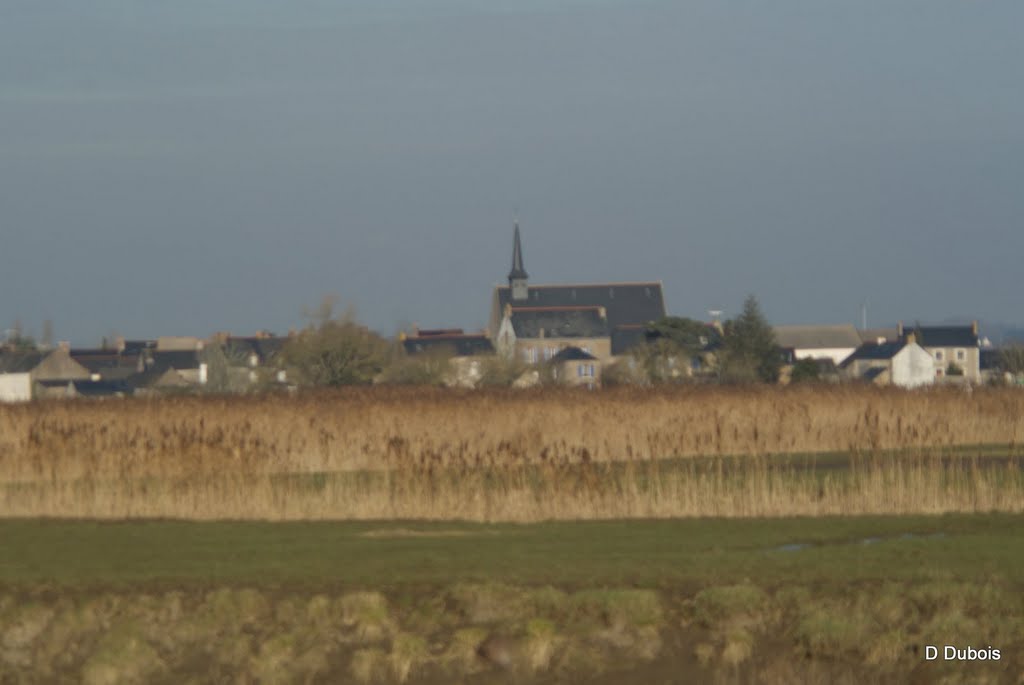 Village de Lavau sur loire 44 après midi d hiver by dom44