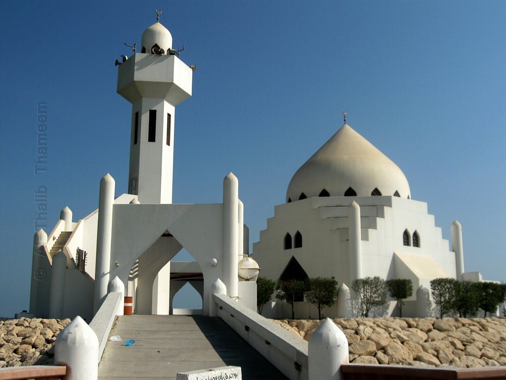 Masjid Sheikh Salim Bin Ladin by Saltha Dsevenii