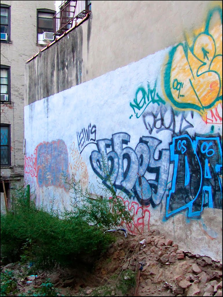 Vacant Lot - 536 East 13th Street, NYC - September 2010 by LuciaM