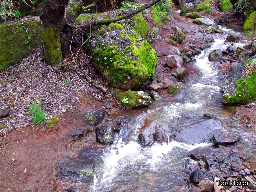 Torrente de agua by Toni Teror