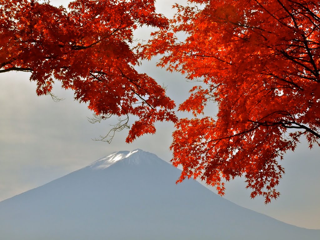 Autumn Foliage & Fuji-san by Chouden Boy