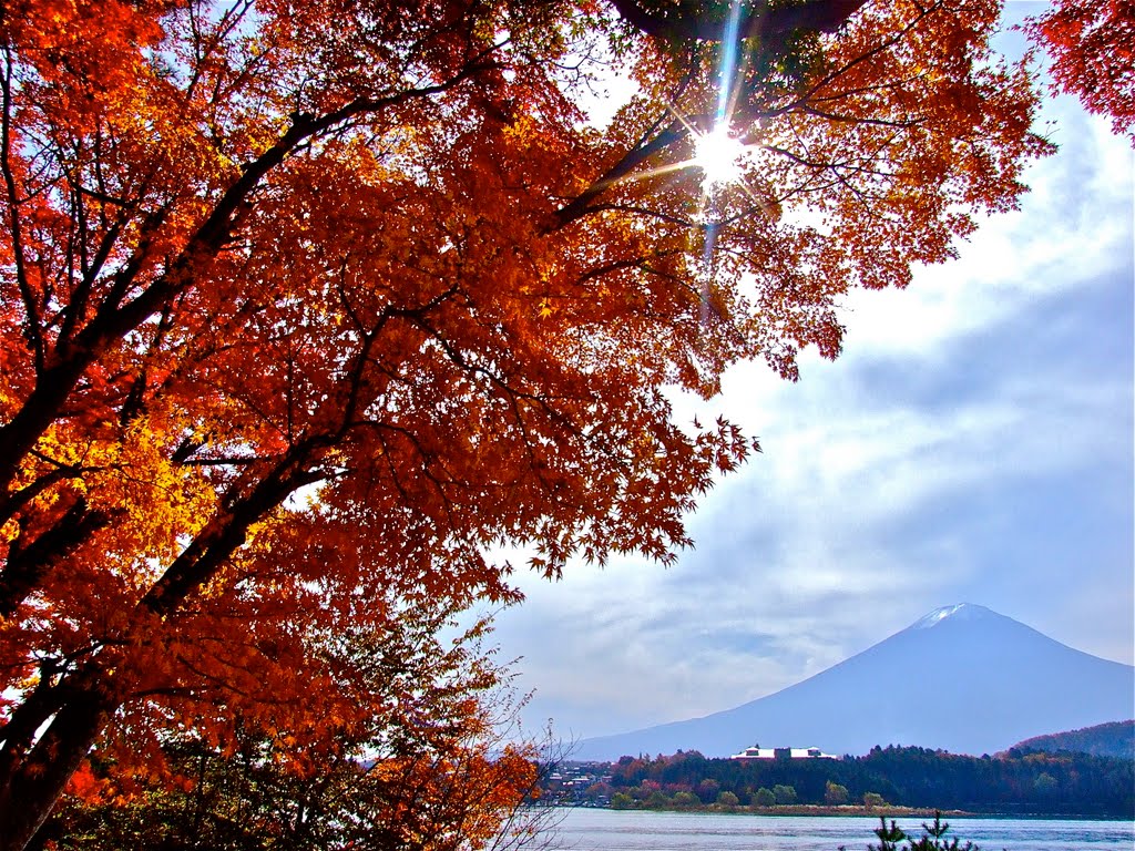 Fall View of Mt. Fuji by Chouden Boy