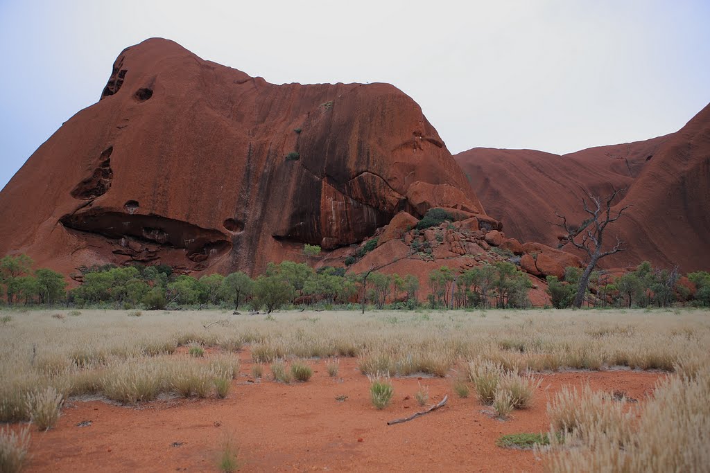 Uluru (Ayers Rock), details by hubert.zumbach