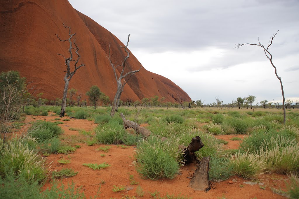 Arid landscape close to Uluru (Ayers Rock) by hubert.zumbach