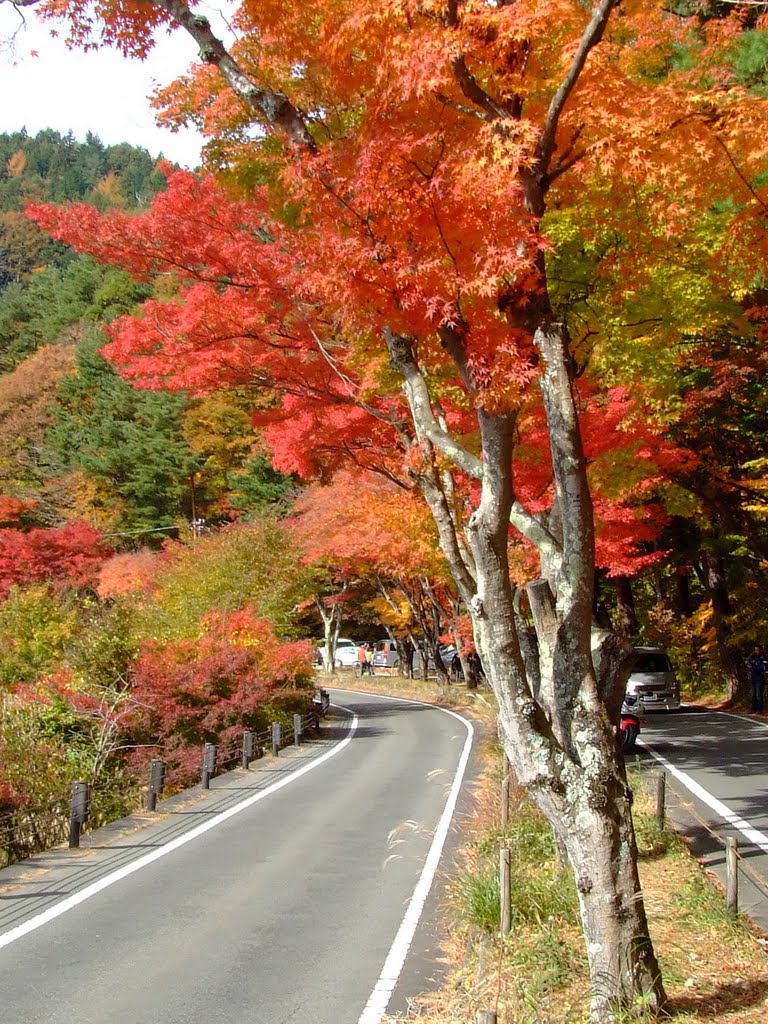 Autumn on the Kohoku View Line by Chouden Boy