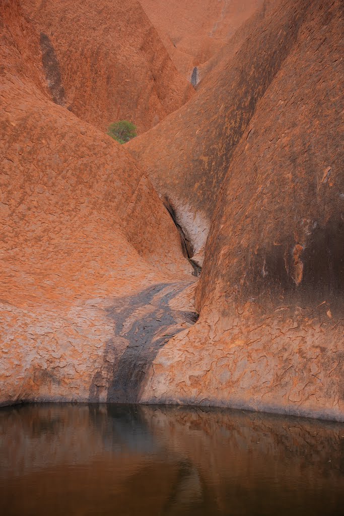 Uluru (Ayers Rock), details by hubert.zumbach