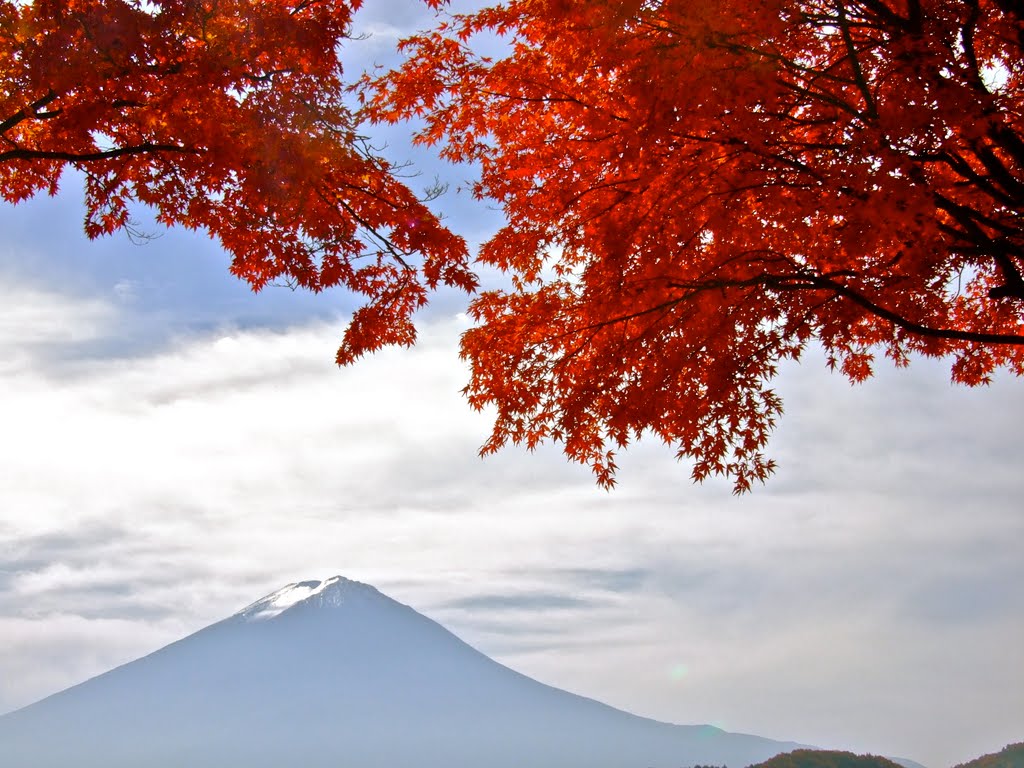 Autumn Mt. Fuji From Kohoku View Road by Chouden Boy