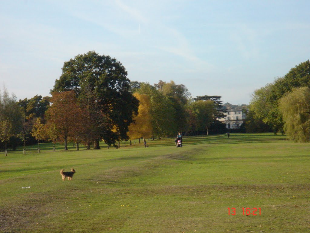 Edgware, UK by K Daneshyar