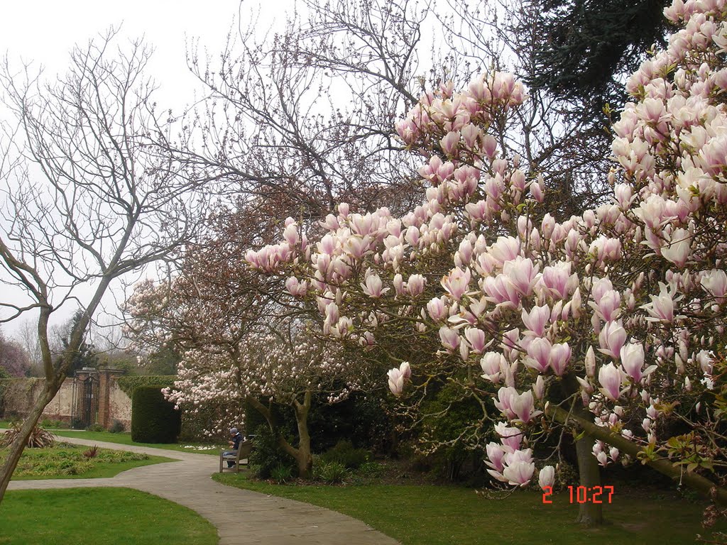 Edgware, UK by K Daneshyar