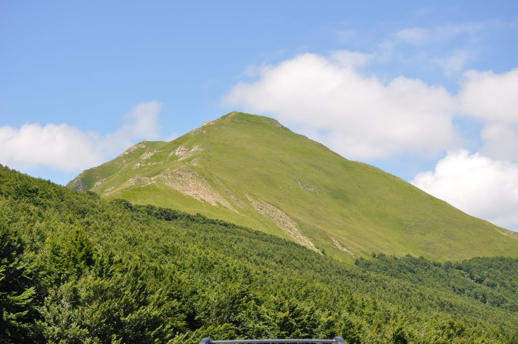 Monte Cavalbianco by roberto venturini