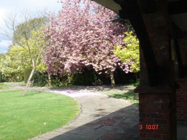 George V Memorial Gardens by K Daneshyar