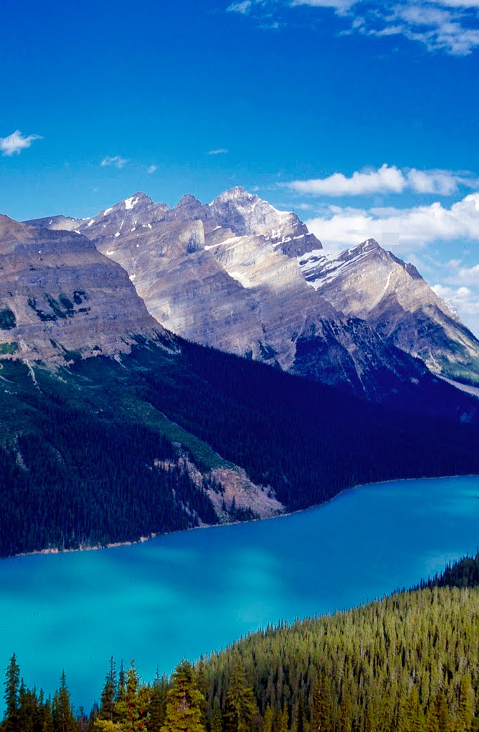 Peyto Lake, Rocky Mountains by donsimon2