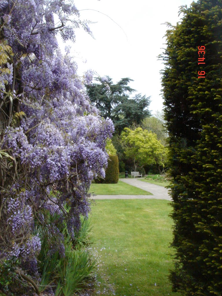 King George V Memorial Gardens in Canons Park by K Daneshyar