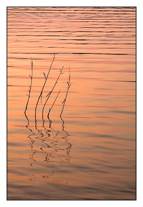 25050 Provaglio d'Iseo, Province of Brescia, Italy by Giordano Bertocchi