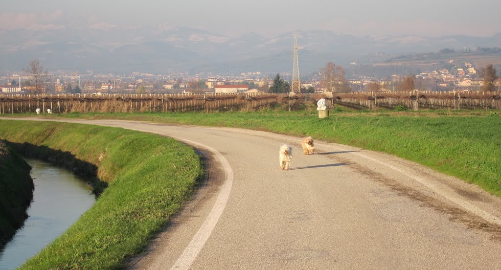 La strada e' di tutti by Dino Danieli