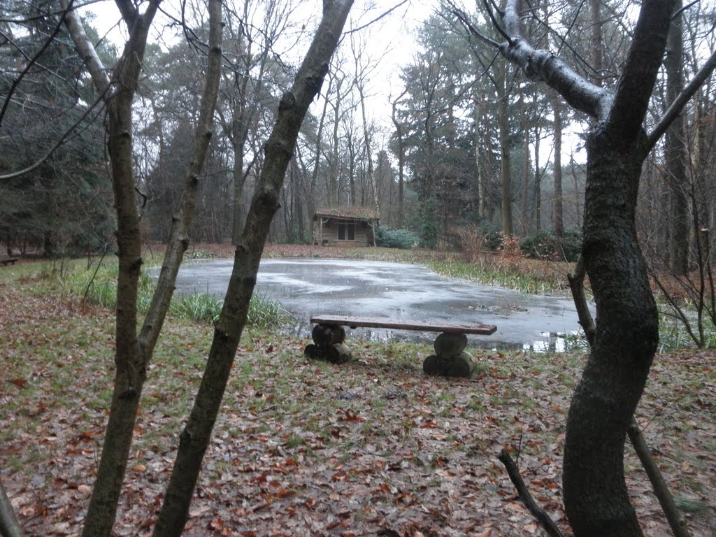 Verborgen vijver bij ' Sonnehaert' , (voorm. zwembad), Little bench overlooking the frozen pond , (form. swimmingpool) by Mart61