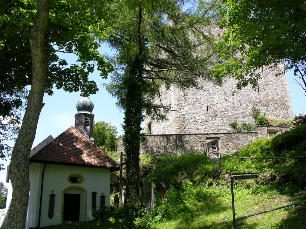 Ruine Neunußberg by Daniel Froschauer