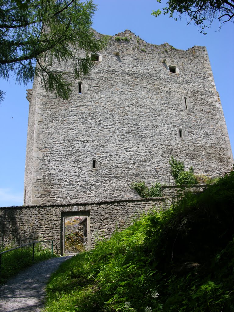 Ruine Neunußberg by Daniel Froschauer