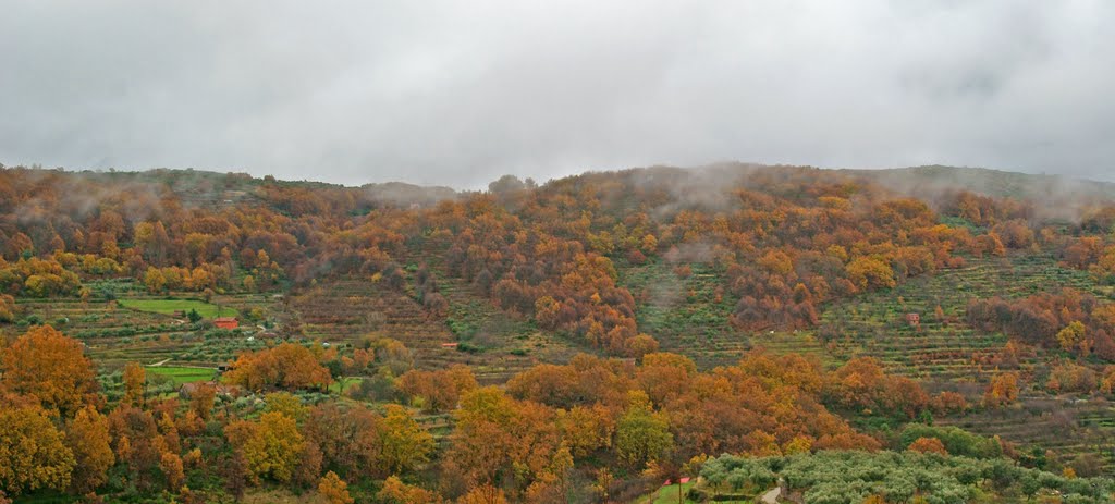 Aldeanueva en otoño by Anlupa